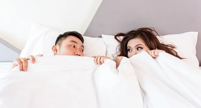 The Protocol: The Circadian-Adenosine Reset