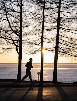 Understanding Chronic Fatigue at the