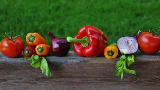 What People Ask About Biology Cardiac Recovery About Post-Heart Attack Nutrition