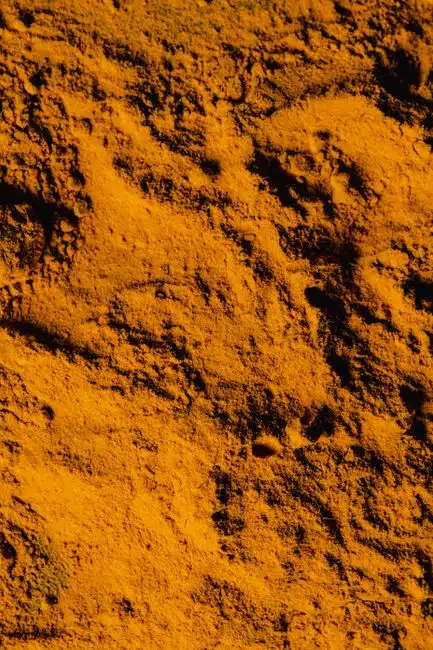 WHAT IS TURMERIC?