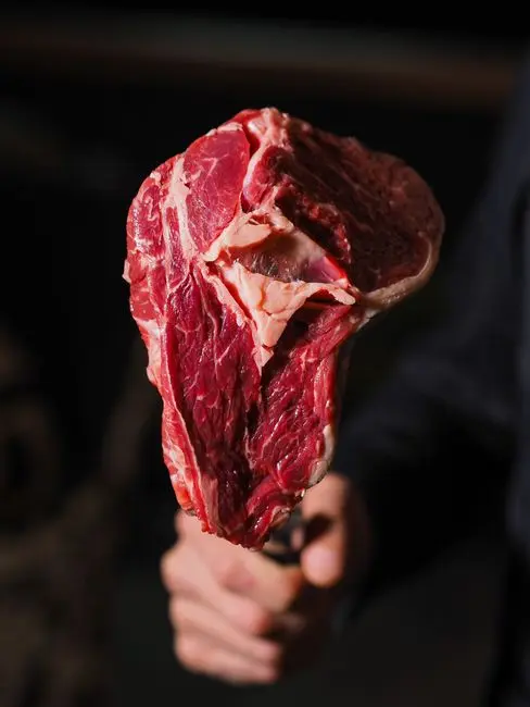CARNIVORE VS KETO: A PRACTICAL COMPARISON