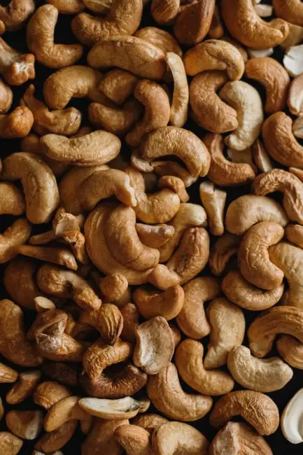 WHAT IS PLANT PROTEIN?