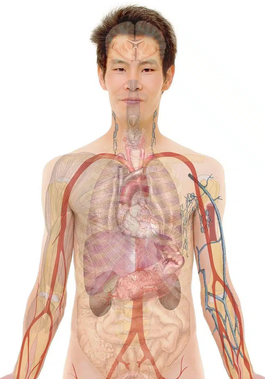 FUNCTIONAL MEDICINE VS CONVENTIONAL MEDICINE: A PRACTICAL COMPARISON