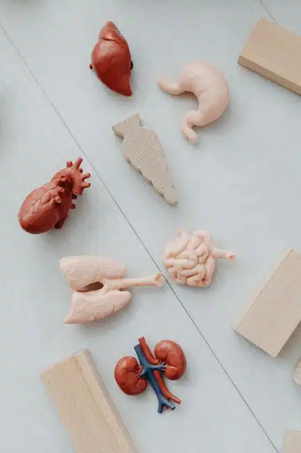 WHAT IS FUNCTIONAL MEDICINE?
