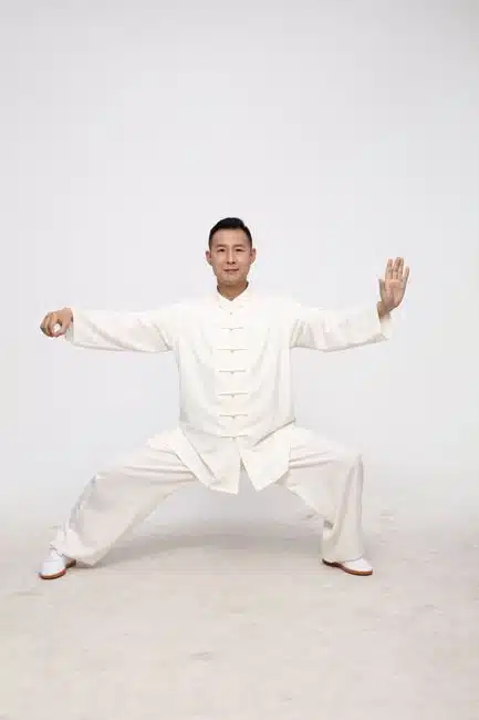 WHAT IS TAI CHI?