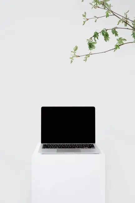 WHAT IS DIGITAL MINIMALISM?