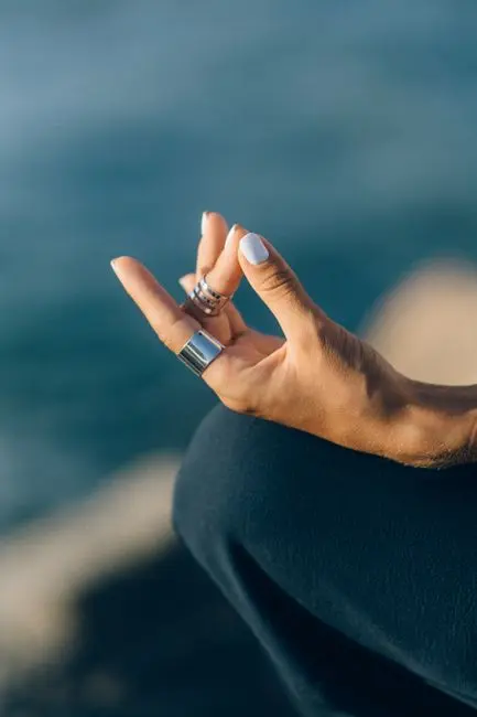 WHAT IS MEDITATIONS?