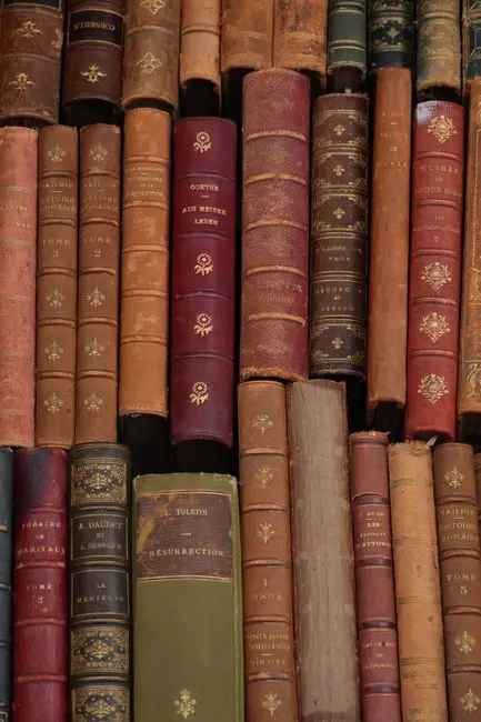 Your reading path